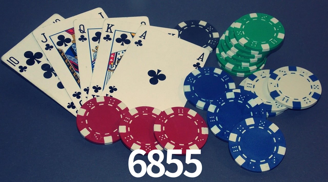 Game Statistics 6855