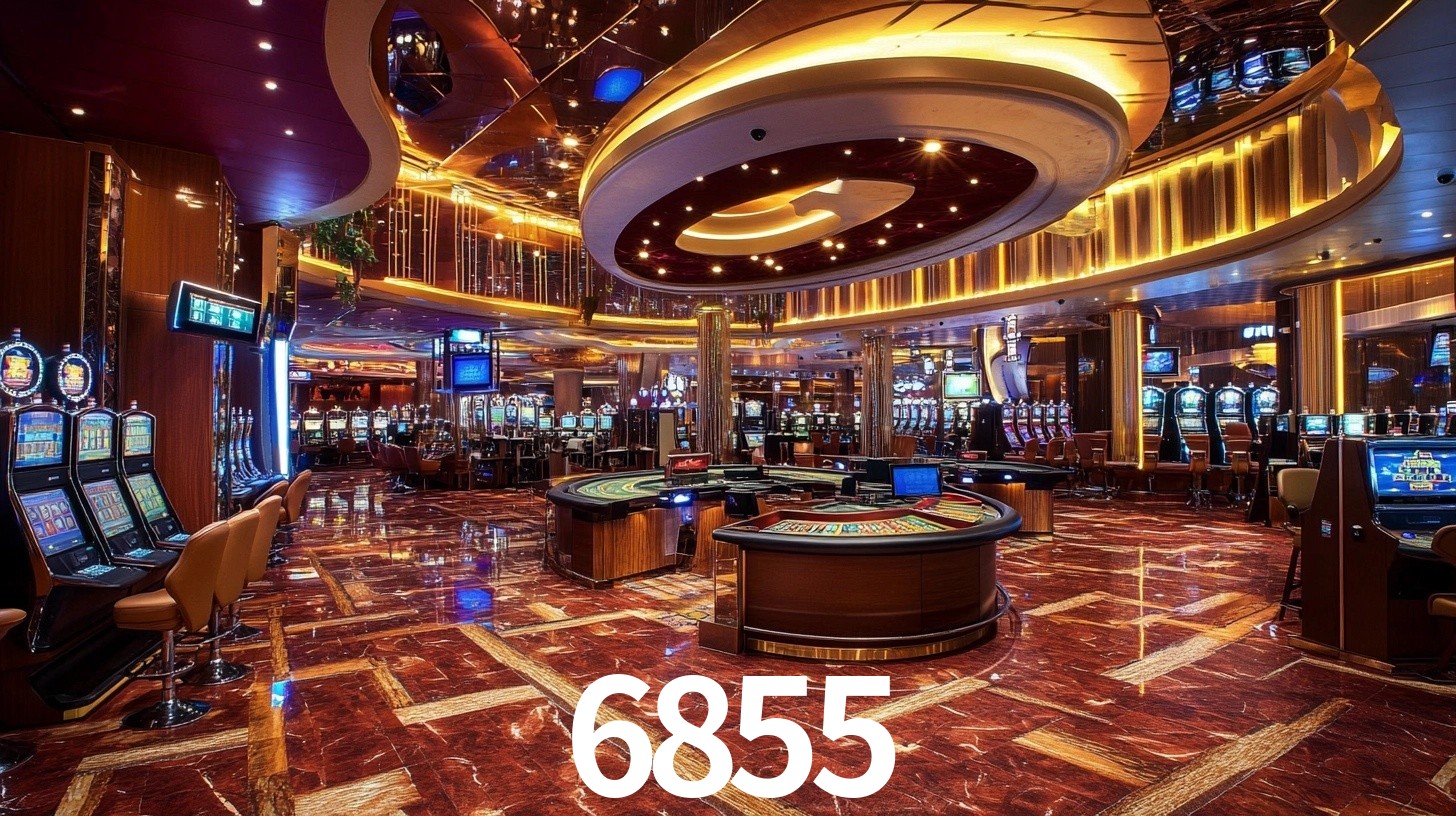 Premium Interface 6855