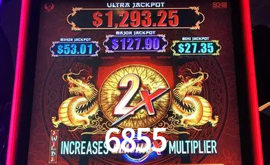 Descubra o Mundo do Cassino Online com 6855